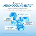 Aero Cooling Shampoo